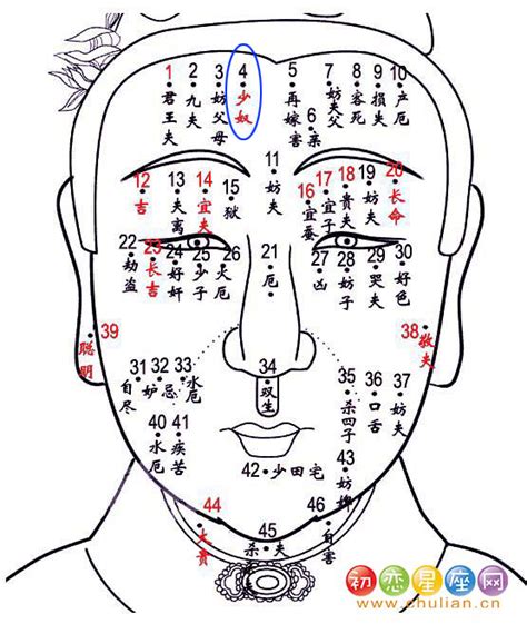 少奴痣|面相学：脸上的痣相代表什么？17个部位痣相的含义和影响